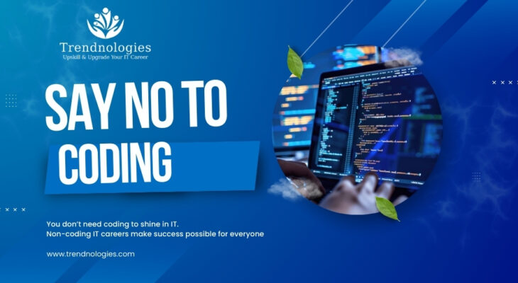 Non-coding IT careers