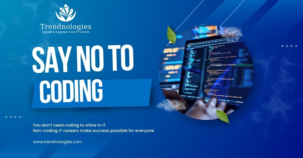 Non-coding IT careers